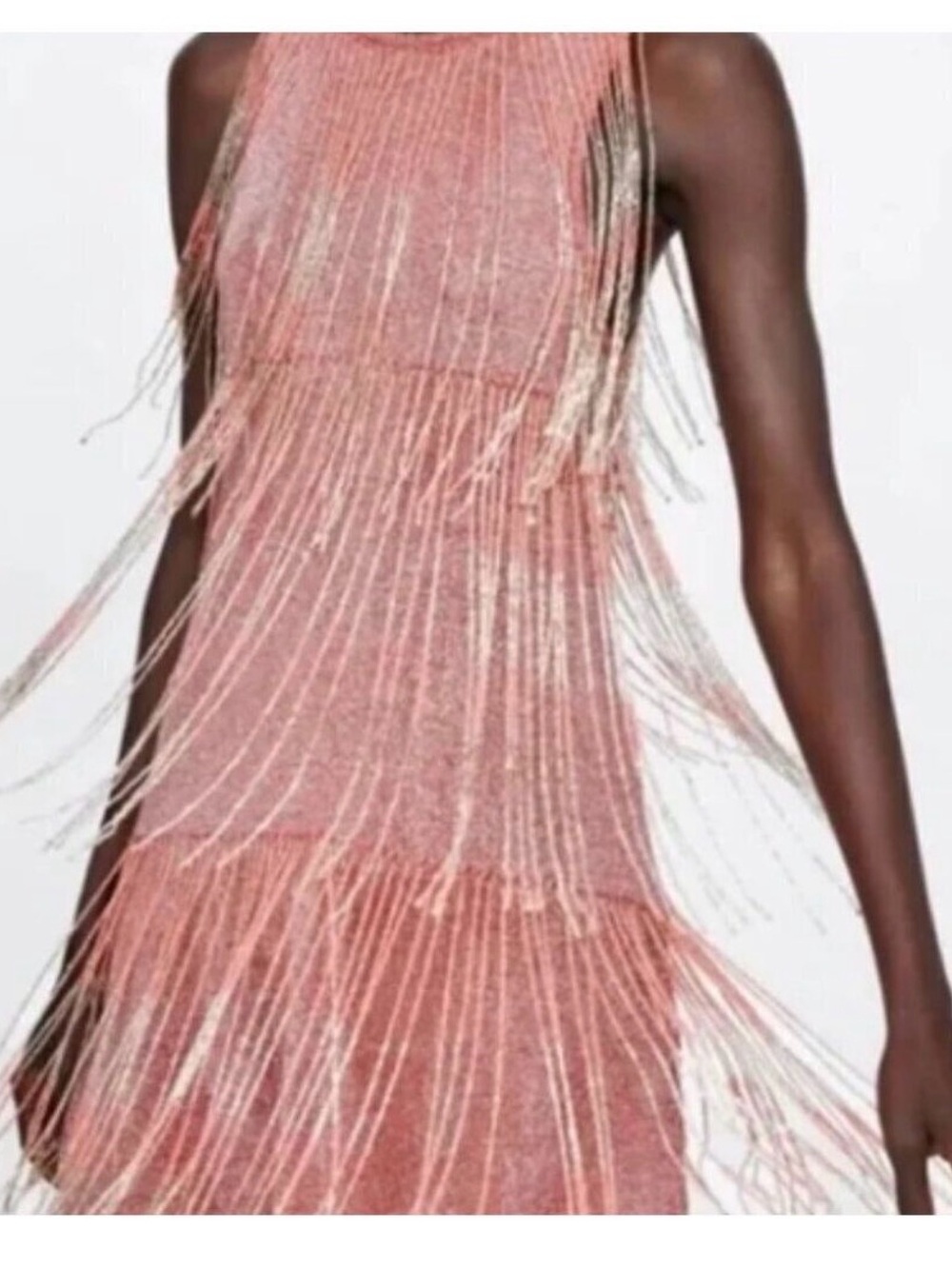 Zara Metallic Rose Fringe Mini Dress